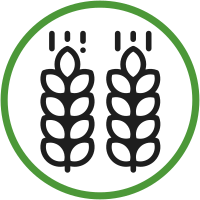 Soileos boosts Yield